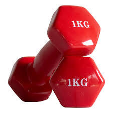 HALTERES EN VINYLER 1KG