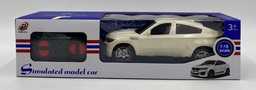 SIMUILATED MODEL CAR