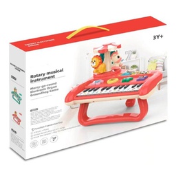 ROTARY MUSICALE INSTRUMENT PIANEAU